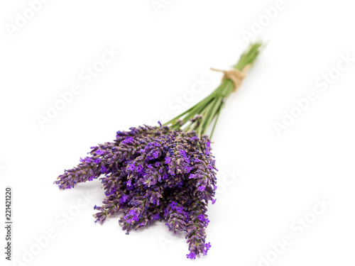 Fototapeta Naklejka Na Ścianę i Meble -  lavender
