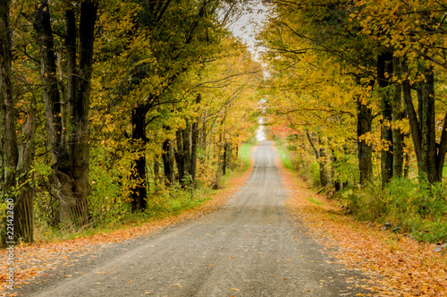 Country Road in Autumn © Clinton