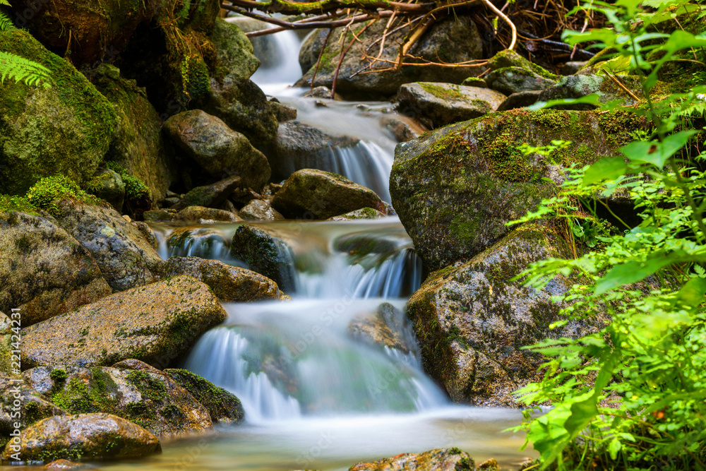 Fototapeta waterfall on brook