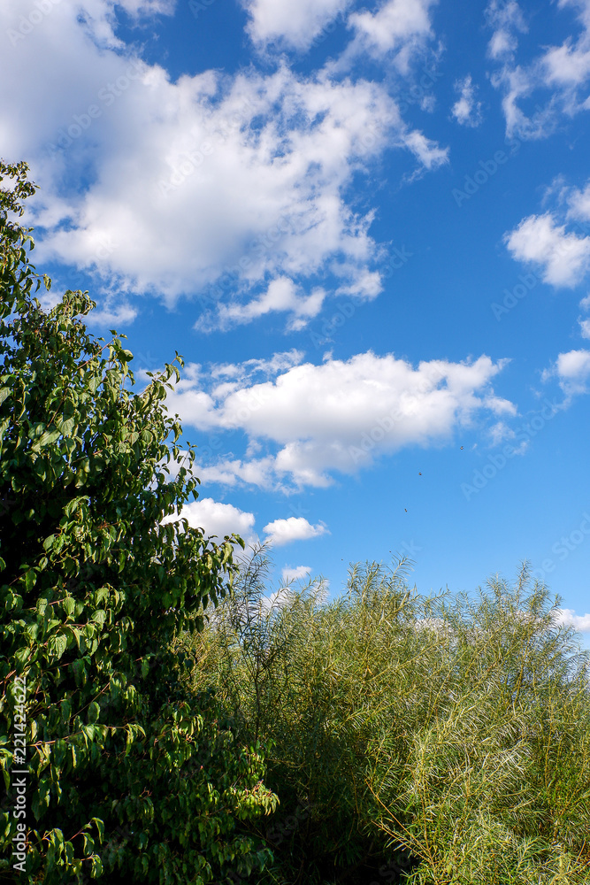 Wolken am himmel