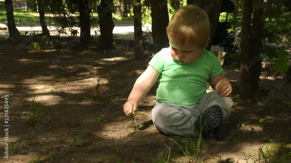 full view of cute caucasian baby boy sitting on a meadow and touching green grass with serious concentrated face in the park little explorer learning the world nature summer sunny day sunshine full view of cute caucasian baby boy sitting on a meadow and touching green grass with serious concentrated face in the park little explorer learning the world nature summer sunny day sunshine