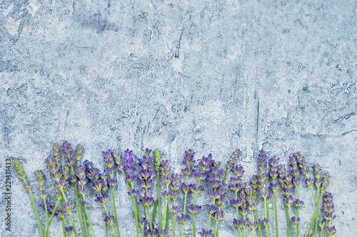 Fototapeta Naklejka Na Ścianę i Meble -  Lavender flowers on blue background. Copy space, top view. Summer background.