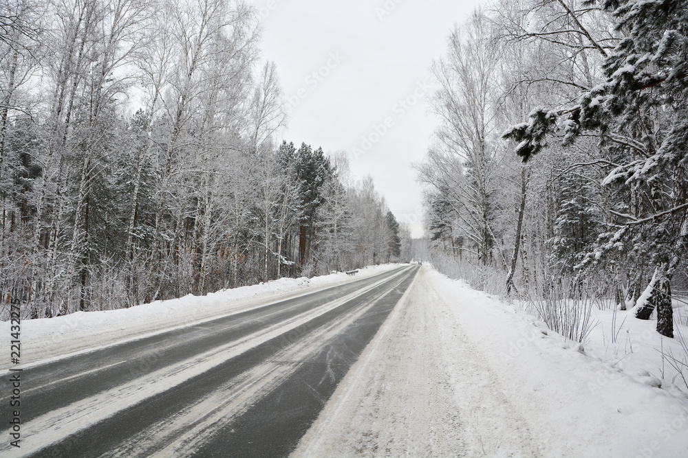 Snowy winter road in pine and birch forest.The Northern part of Russia 