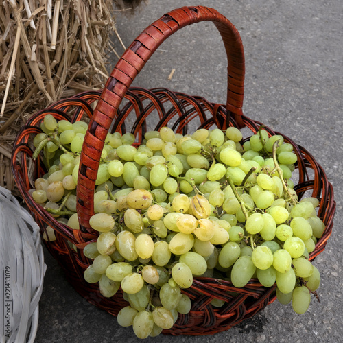 gifts of nature grown in the open ground