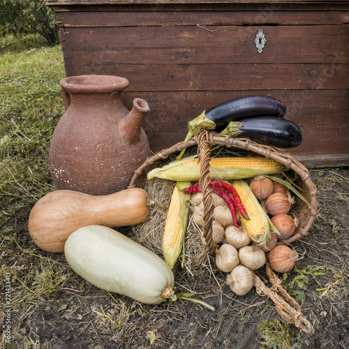gifts of nature grown in the open ground
