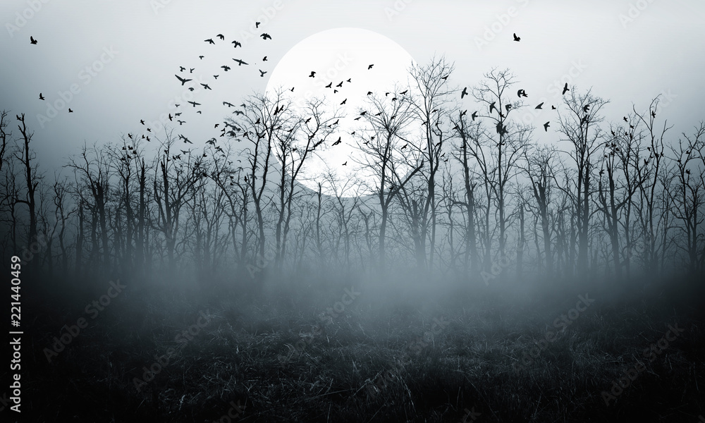 dark night forest full moon 