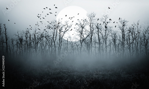 dark night forest full moon © Dark Illusion