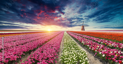 Photography The road leading to the Dutch windmills from the canal in Rotterdam