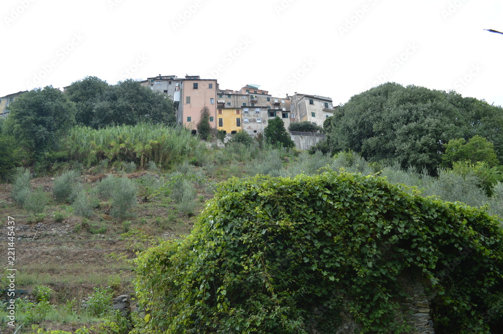 borghi