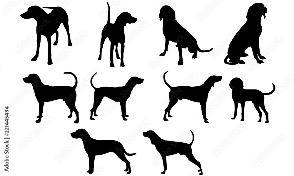 Coonhound Dog svg files cricut, silhouette clip art, Vector