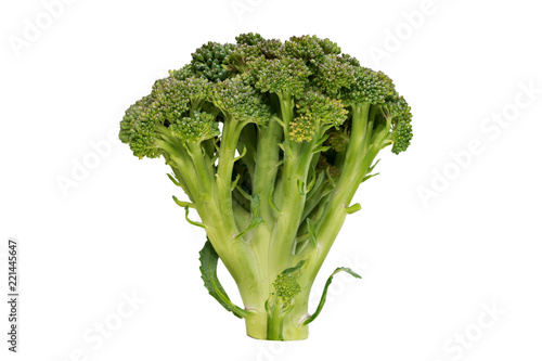 Wallpaper Mural Big green broccoli on white background with flowers Torontodigital.ca