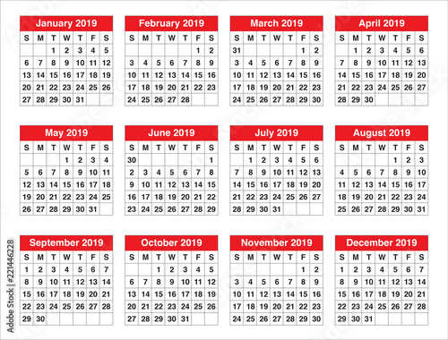 Year 2019 calendar vector design template