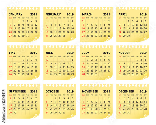 Year 2019 calendar vector design template
