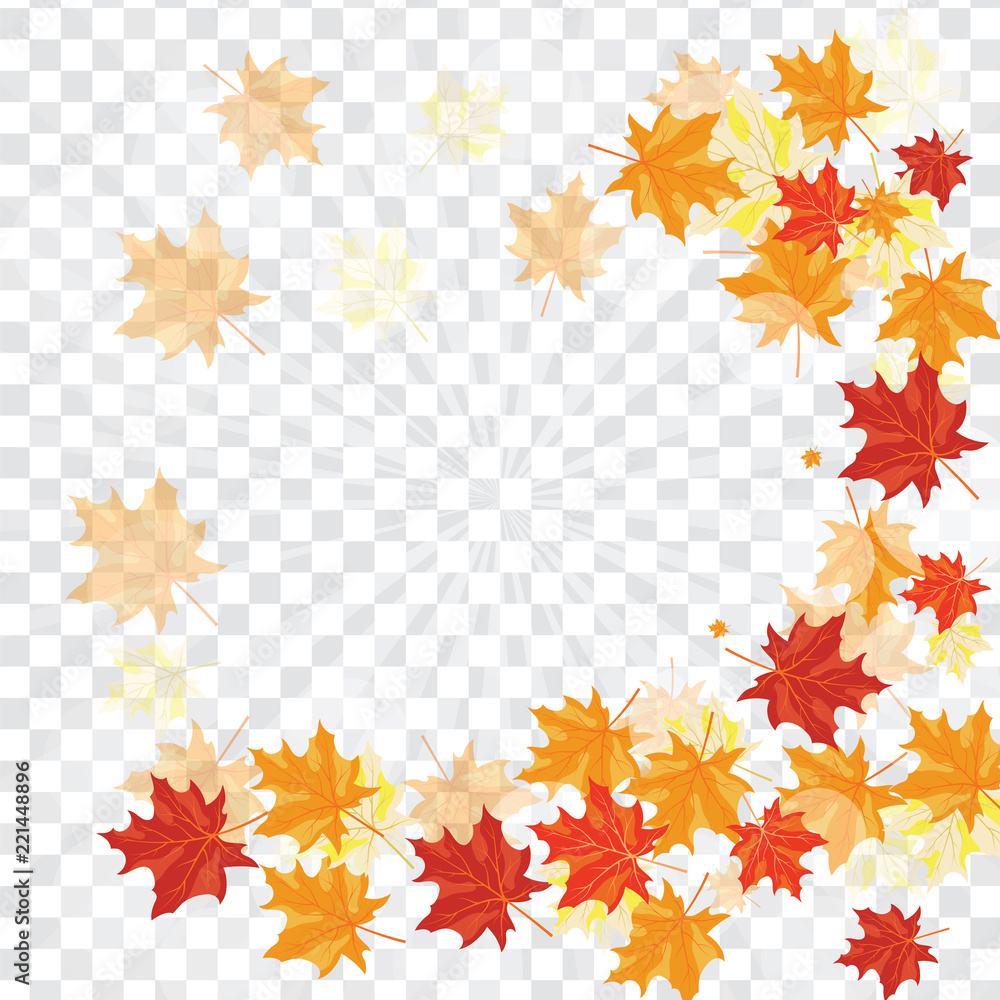 Maple leaves on transparency grid