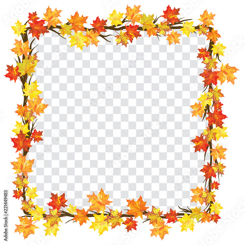 Maple leaves on transparency grid