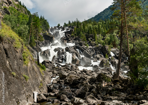 Wild nature of Altai mountains