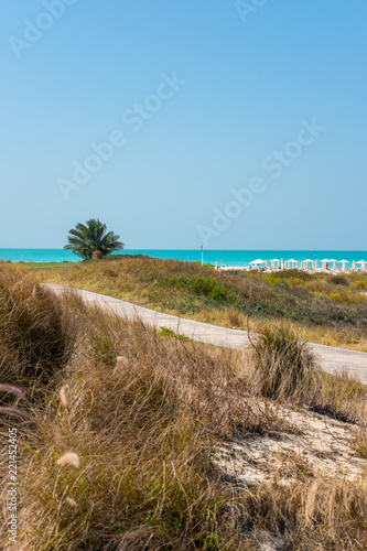 Fototapeta Naklejka Na Ścianę i Meble -  Saadiyat Public Beach, Saadiyat Island, Abu Dhabi, UAE