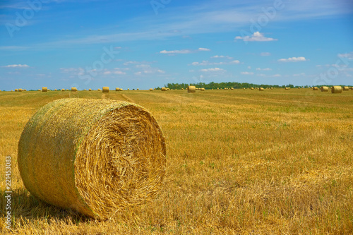 Hay in rolls, harvested for the winter. Lipetsk region, Russia.
