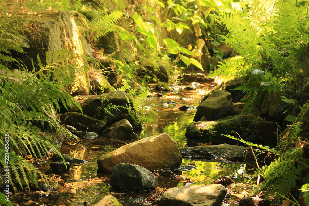 Little Creek Little Creek