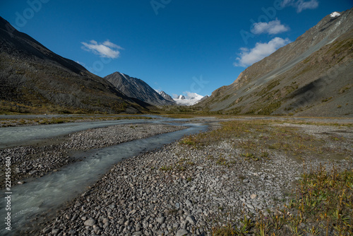 Nature of Altai mountains