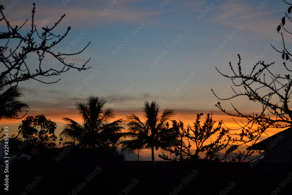 sunset with silhouettes of trees