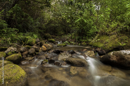 Stone in the river