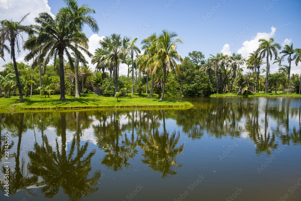 View of palm-fringed a tropical swamp lake in Florida View of palm-fringed a tropical swamp lake in Florida