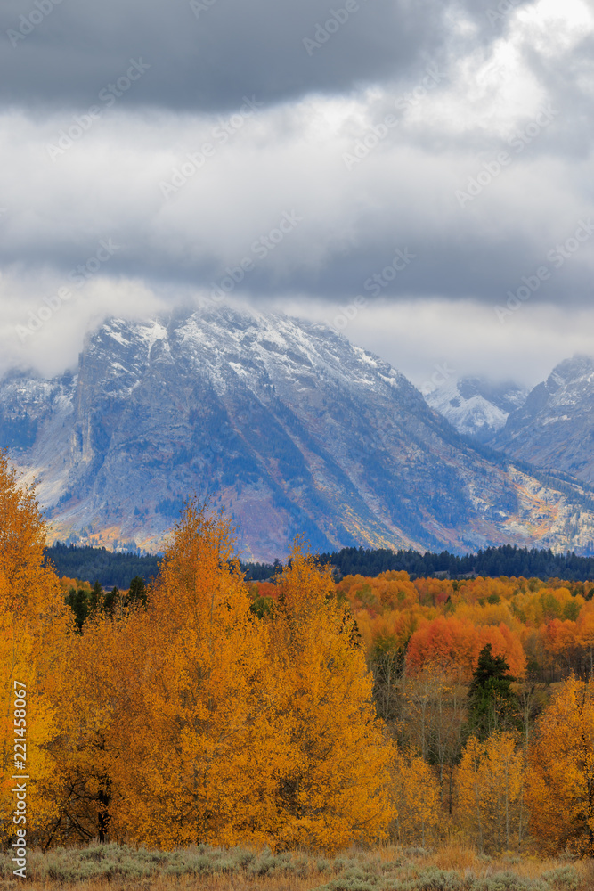 Naklejka premium Grand Teton National Park Autumn Landscape