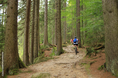 Radwandern um den kleinen Arbersee, National Park Bayerischer Wald 
