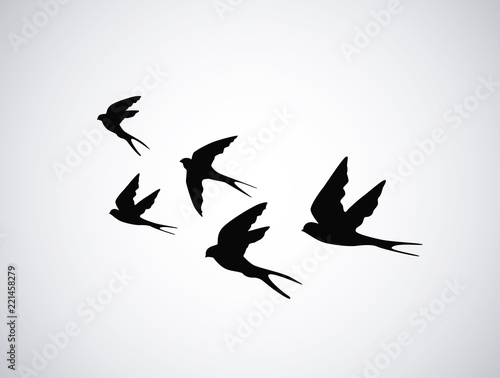 Vector silhouette flying birds on white background. Tattoo