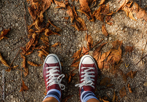 Fall, autumn, leaves, legs and sneakers. Conceptual image of legs in sneakers on the autumn leaves. Feet shoes walking in nature
