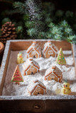 Falling snow on Christmas small gingerbread village