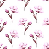Pink flowers on white. Seamless background Botany Spring