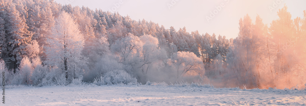 Plakat Zimowy krajobraz. Świąteczny poranek
