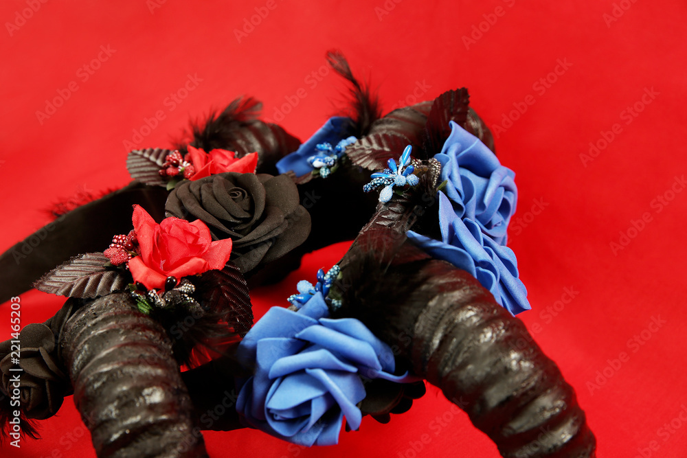 Naklejka premium horns as a decoration on the head