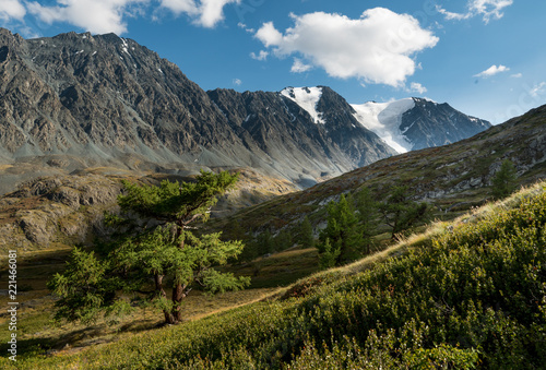 Nature of Altai mountains © kotopalych