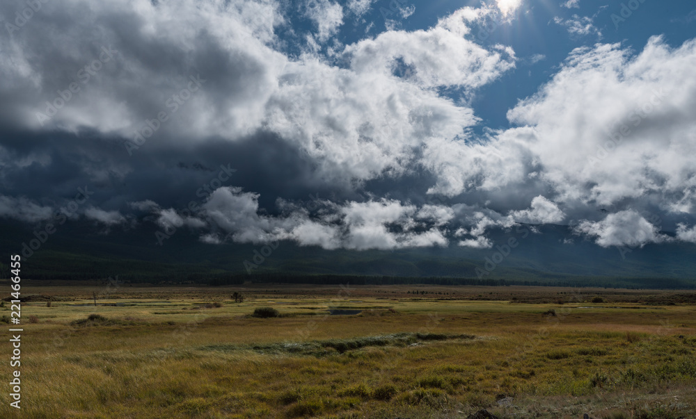 Nature of Altai mountains