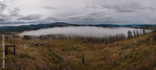 Wild nature of Altai mountains