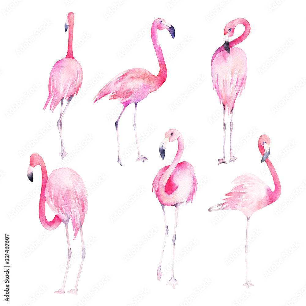 Fototapeta premium Set watercolor random flamingos. Isolated illustration