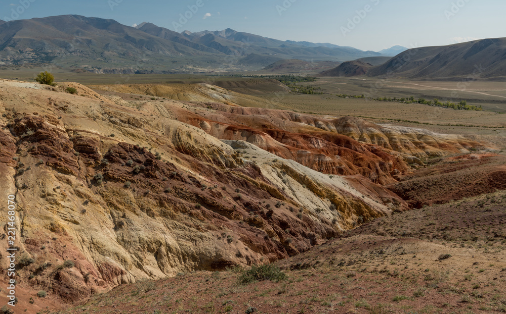 Wild nature of Altai mountains