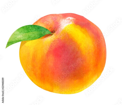 peach \ nectarine, watercolor hand-drawn drawing of a fruits, isolated illustration on a white background