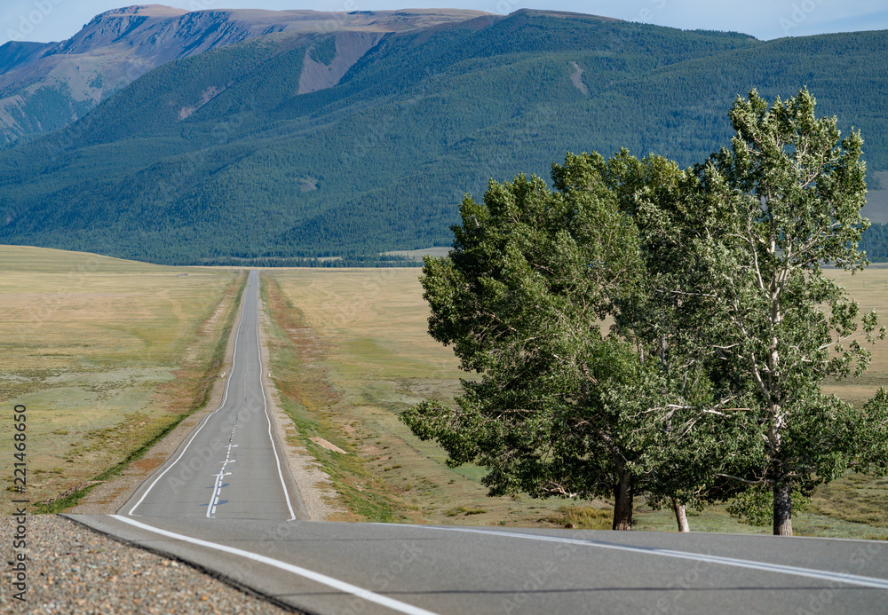 Obraz premium The nature of the Altai territory