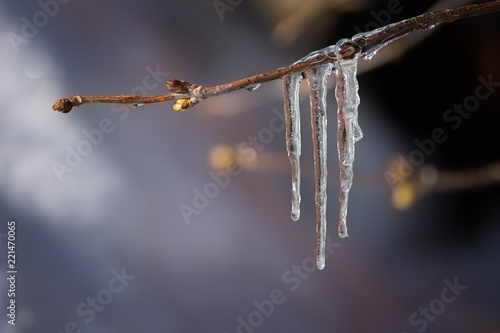 Icicles hang down like fingers of a hand photo