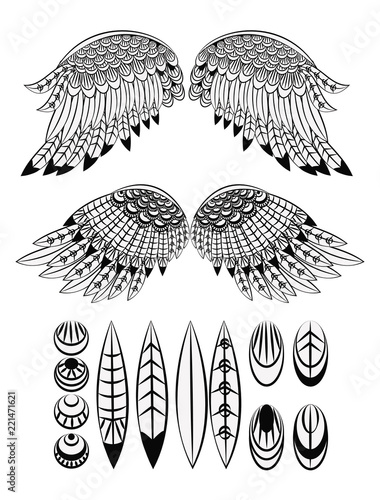 Set of wings and feathers