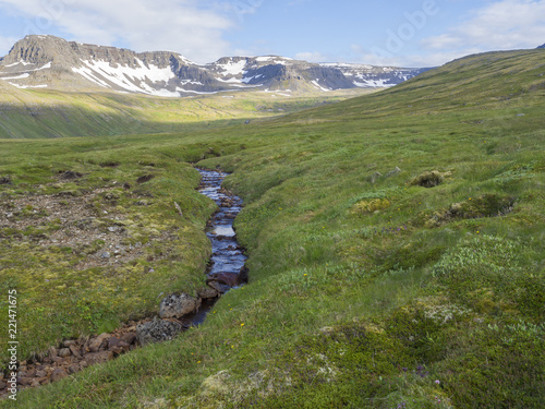 Northern summer landscape, beautiful snow covered cliffs and mountain, in Hloduvik cove with wild creek water stream, green meadow, clouds, in Hornstrandir, west fjords, Iceland photo