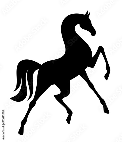 Black mustang on a white background