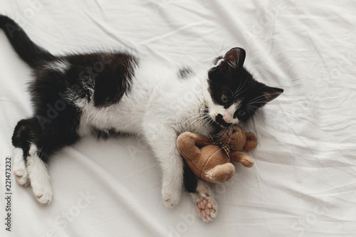 cute little kitten playing with little teddy bear toy on white bed sheets in stylish room. top view. adorable black and white kitty with funny emotions playing, fun moments, home pets