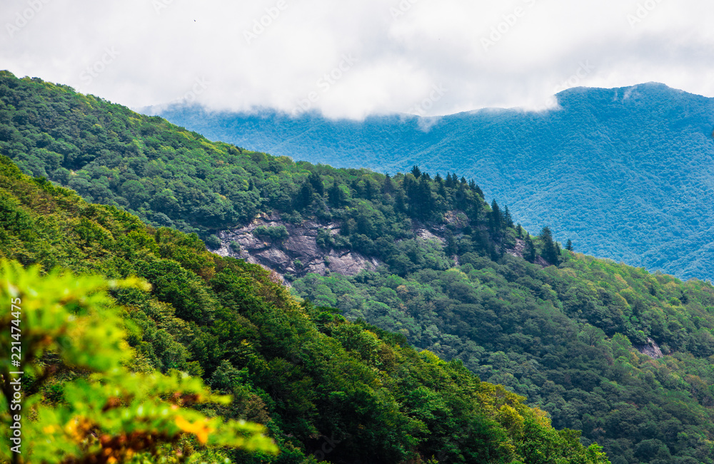 Fototapeta premium Three Green Ridges