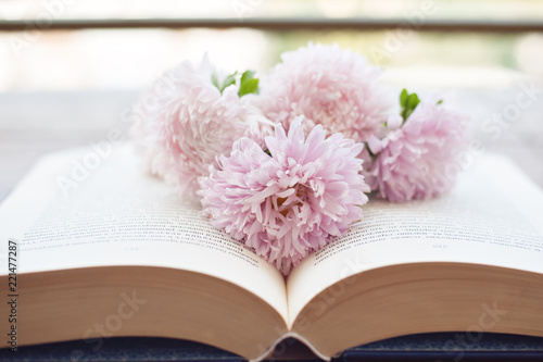 Bouquet of pink colors on the opened book