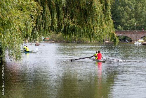 Canvastavla racing boats under willow tree with arched bridge in background